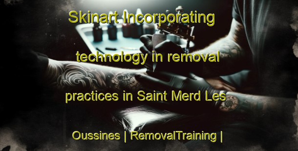 Skinart Incorporating technology in removal practices in Saint Merd Les Oussines | RemovalTraining | RemovalClasses | SkinartTraining-France